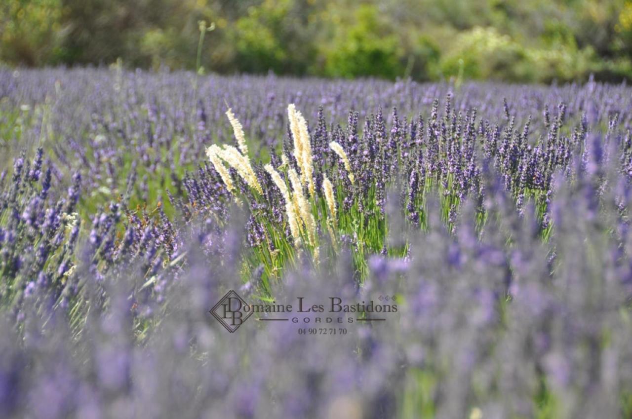 Vila Domaine Les Bastidons Gordes Exteriér fotografie
